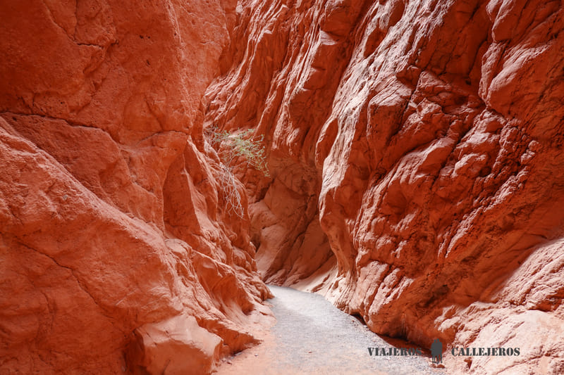 Quebrada de las Señoritas jujuy