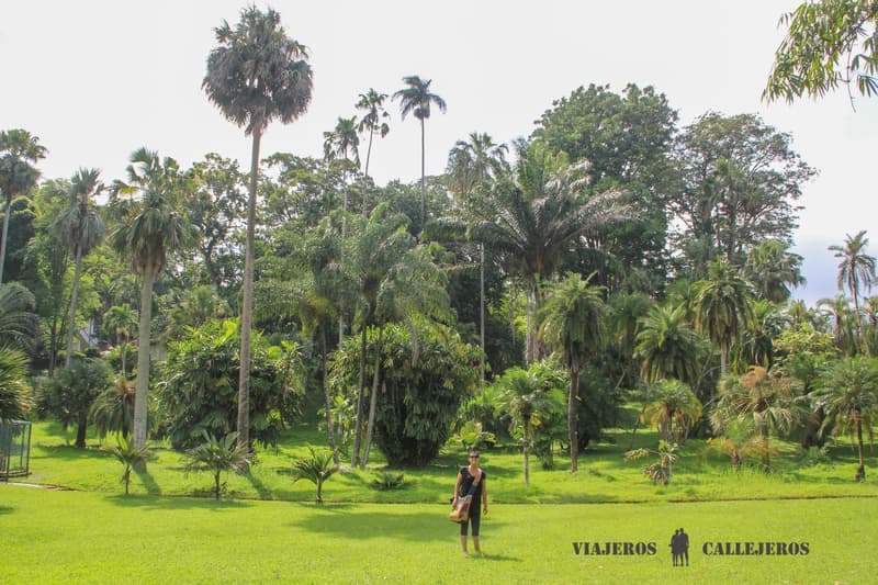 Real Jardín Botánico de Peradeniya
