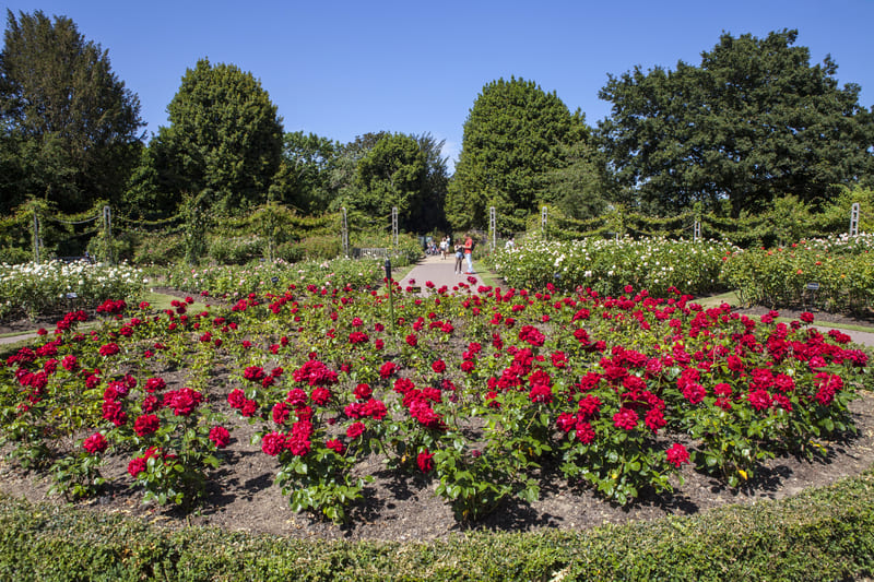 regent park londres en 5 días