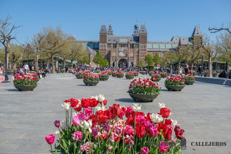 Rijksmuseum en el Ámsterdam en 3 días