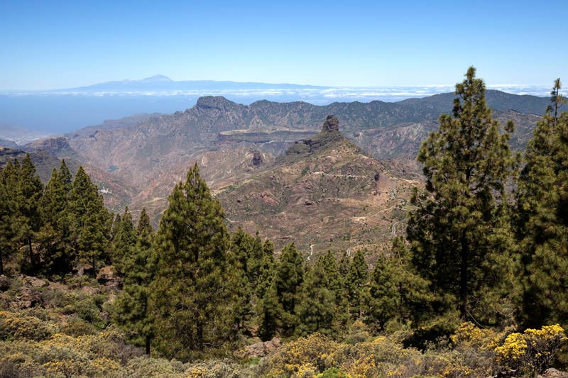 Vistas de Roque Nublo, ruta por Gran Canaria