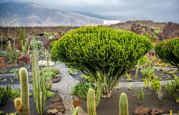 Ruta por Lanzarote: 3, 5 y 7 días