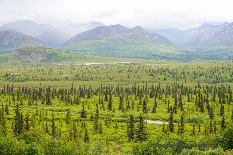 Ruta por Alaska
