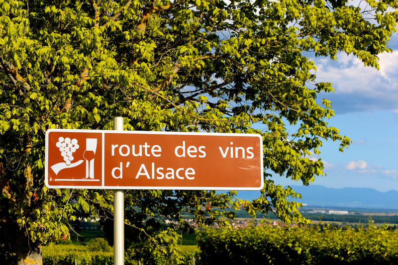 ruta vinos alsacia