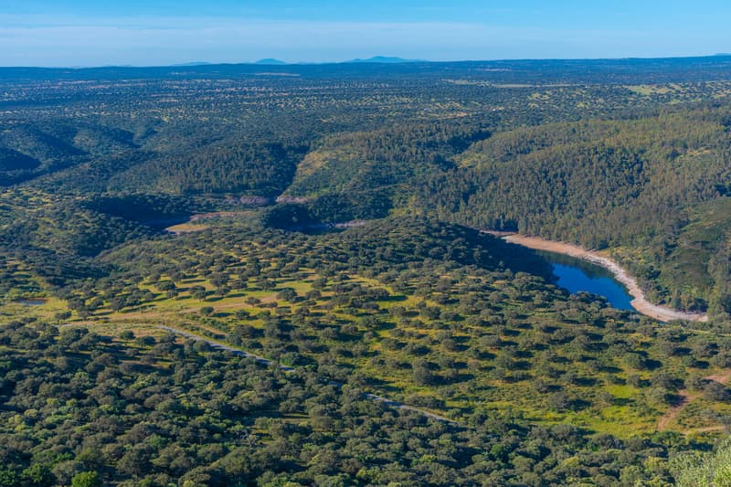 Rutas caminando por el Parque Nacional de Monfragüe