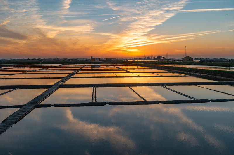 salinas de aveiro
