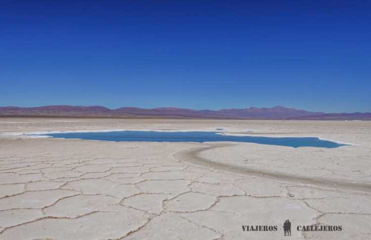 salinas grandes que visitar en salta