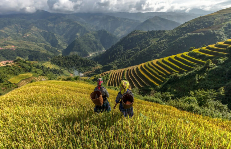 sapa que ver en vietnam