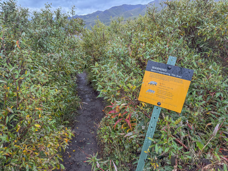 Carteles de seguridad en las caminatas por Alaska