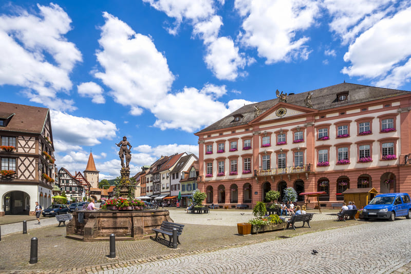 Selva Negra alemania