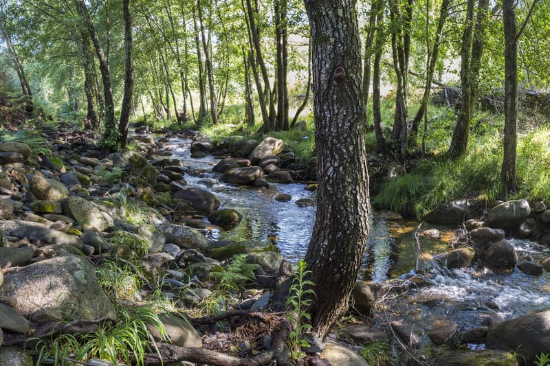 senderismo que hacer en la sierra de gata