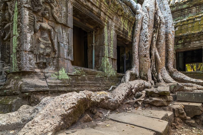 Ta Prohm