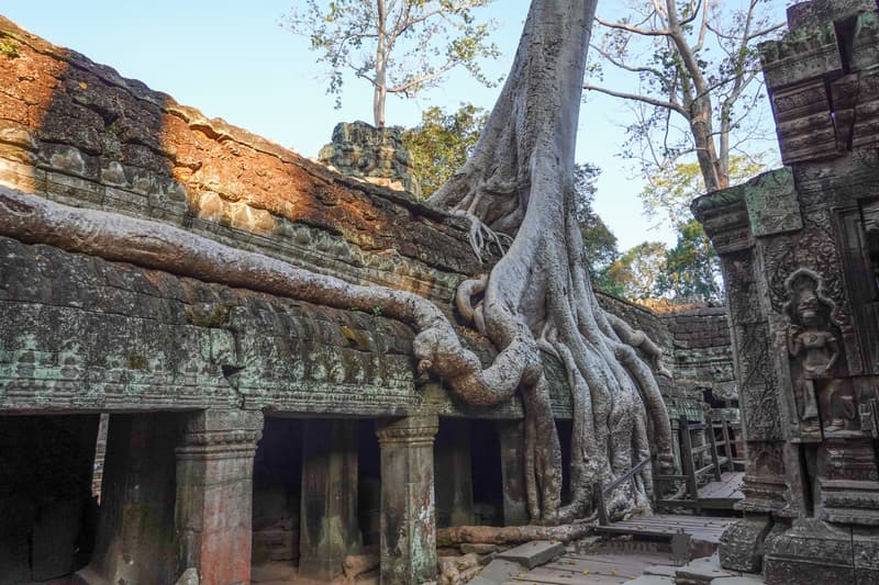 Ta Prohm