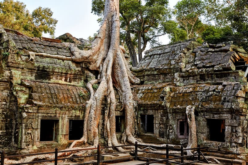 Ta Prohm uno de los templos de Angkor