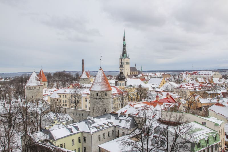 tallin