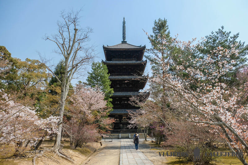 templo ninnaji que ver en kioto