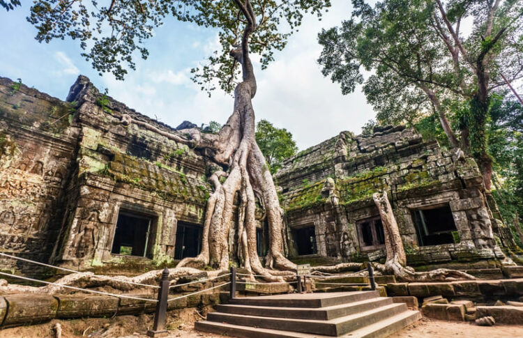 templos angkor camboya
