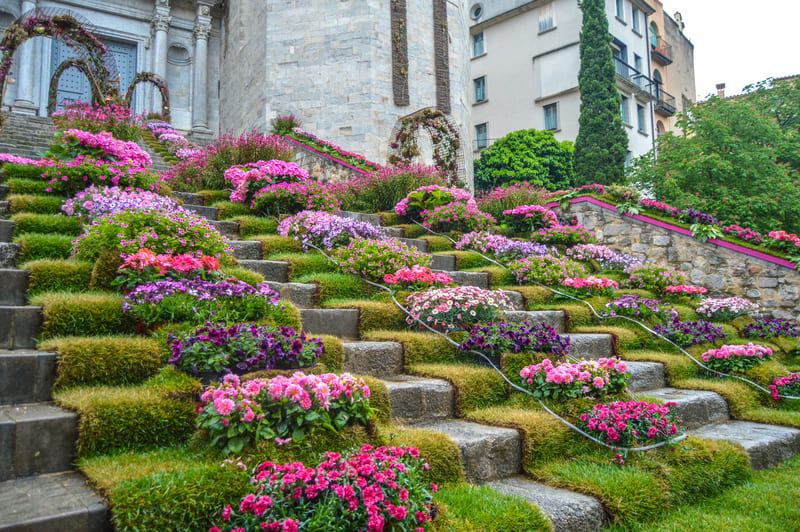 temps de flors girona