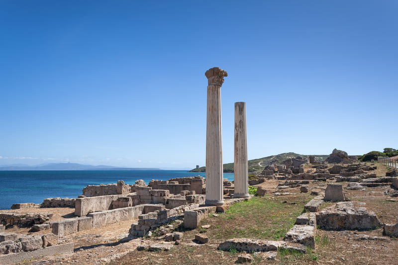 tharros cerdeƱa
