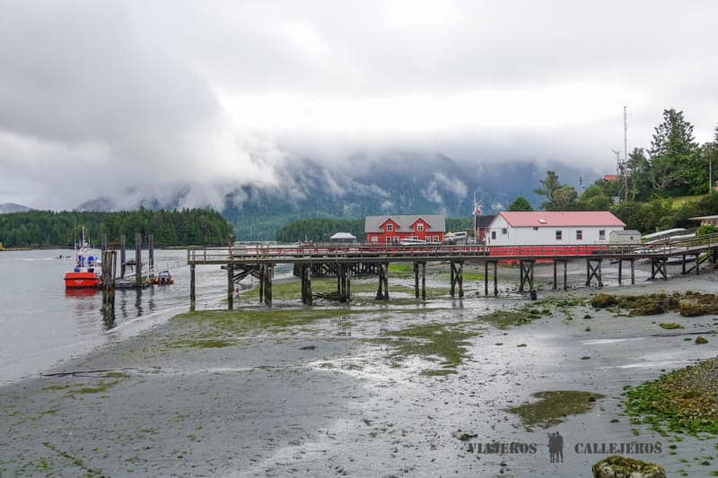 tofino que visitar en la isla de vancouver