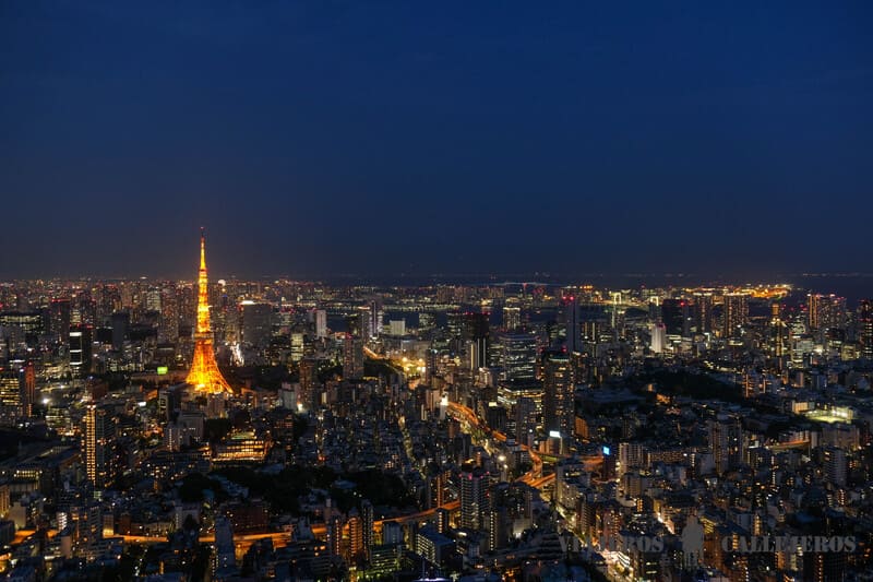 torre mori tokyo