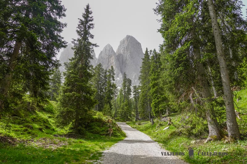 Trekking Refugio Odle