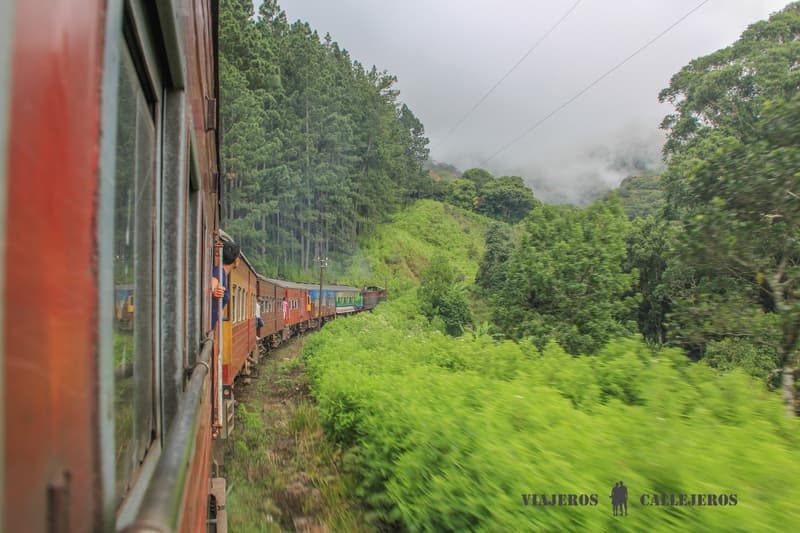 Tren de Nuwara Eliya a Ella
