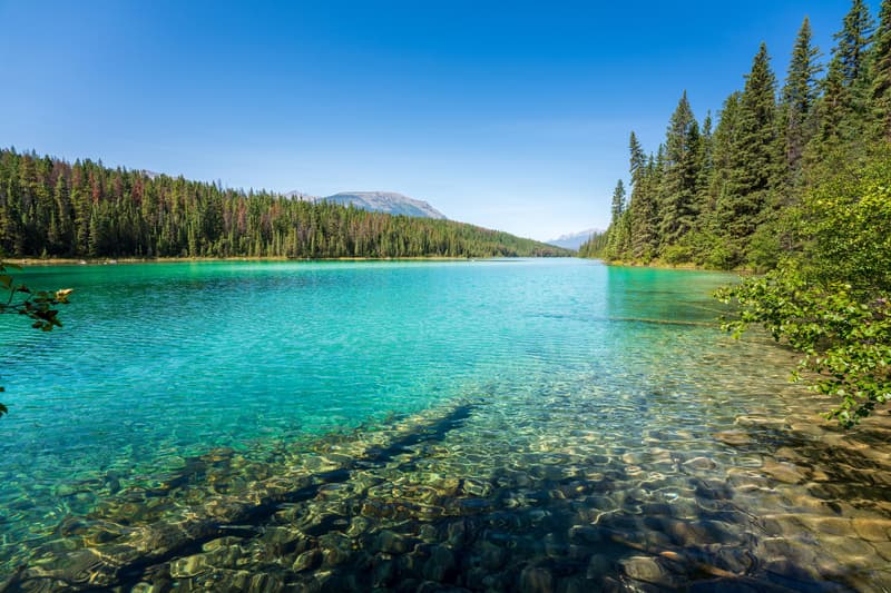 Valle de los Cinco Lagos en Jasper