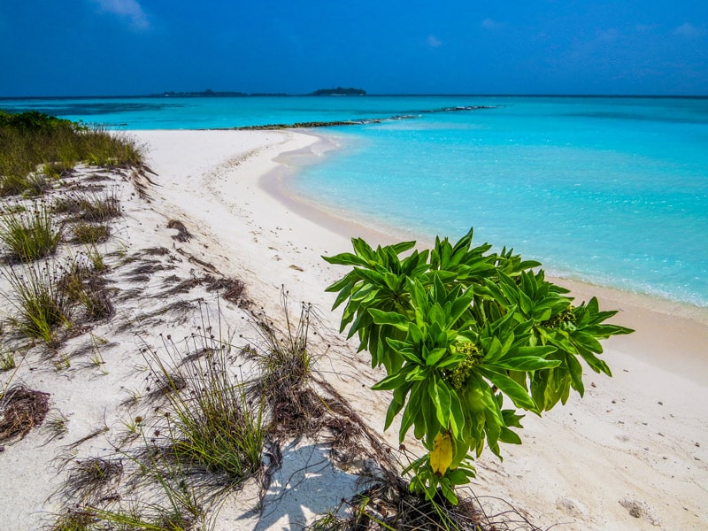 Ukulhas Maldivas
