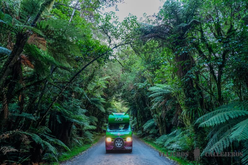 viajar en autocaravana en Nueva Zelanda