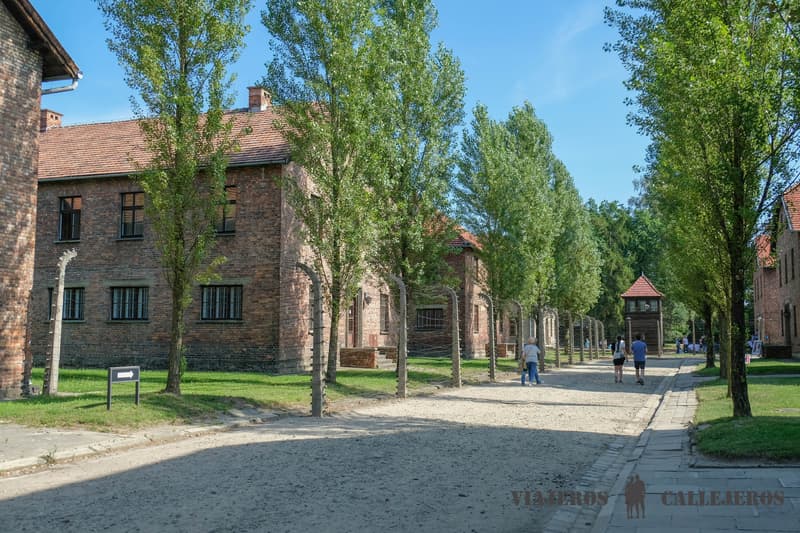 Visitar Auschwitz
