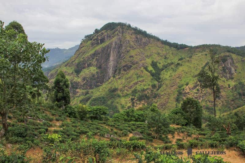Little Adam’s Peak