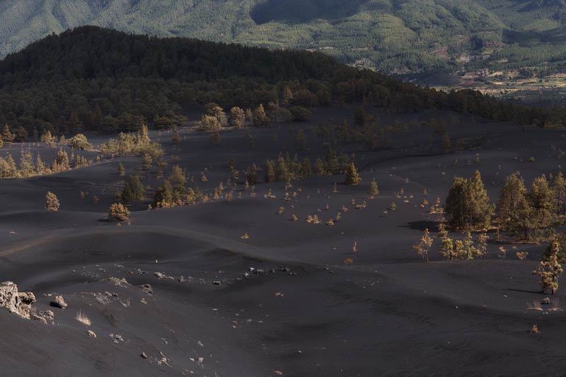 Volcan Tajogaite, Ruta por La Palma