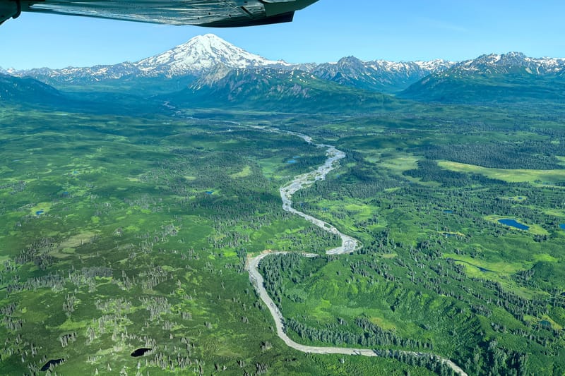 Hidroavión para ver osos en Alaska