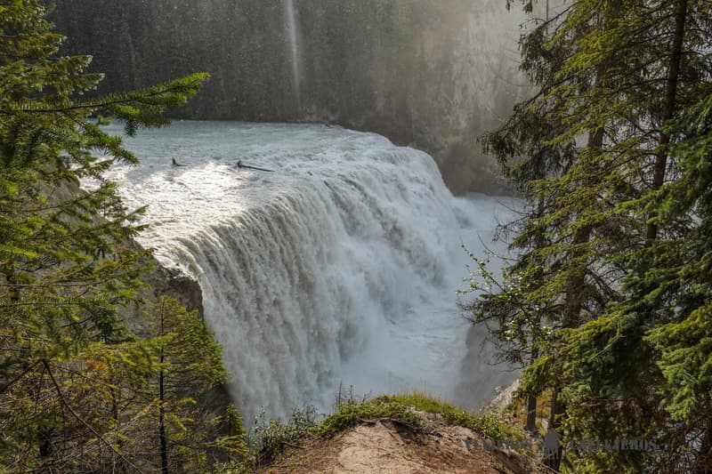 Wapta Falls
