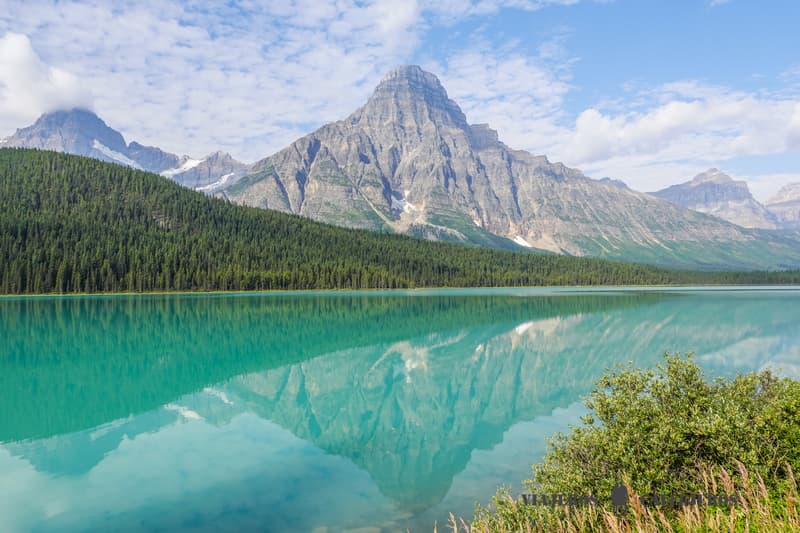 Waterfowl Lakes
